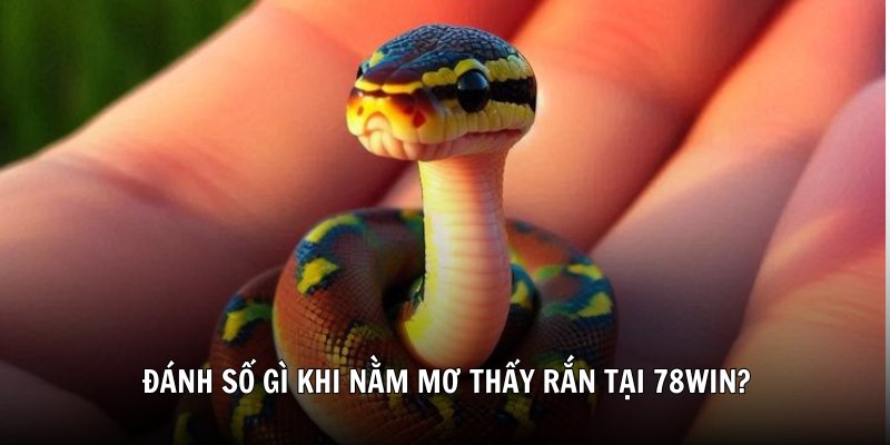 Đánh số gì khi nằm mơ thấy rắn tại 78Win?